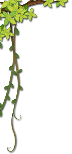Assorted Foliage