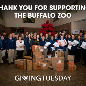 GivingTuesday